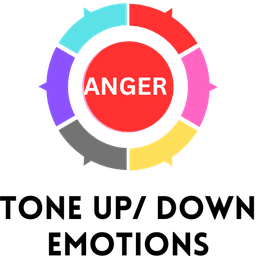 Check Emotion Balance